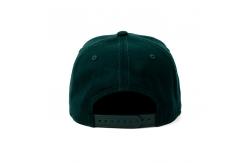 China High quality Custom Made eagle printing Logo Printed Hip Hop Snapback Hats Caps supplier