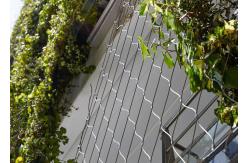 China Silver Stainless Steel Cable Trellis Mesh With 7*7 Rope Construction supplier