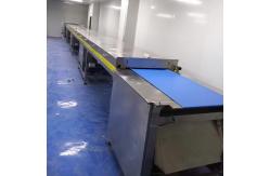 China China custom-made commercial chocolate cooling tunnel supplier