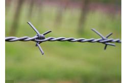 China Use Of Prison Walls 50kg  Double Strand Reverse Twist Electro Barbed Wire Roll supplier
