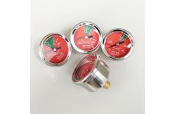 China High Precision Nitrogen Pressure Gauge For FM200 Fire Suppression Systems supplier