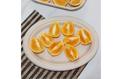 China Fruit Eco Compostable Sugarcane Plates Round Biodegradable Sugarcane Bagasse Plates supplier