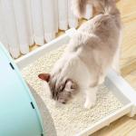 OEM Cassava Cat Litter Eco Friendly Highly Adsorbent Flushable Kitty Litter for sale