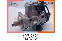 China STANADYNE DIESEL 427-5481 FUEL ENGINE FUEL INJECTOR PUMP supplier