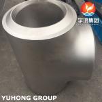 Large Diameter Pipe Fitting ASTM A403 WP316L-WX Equal Tee