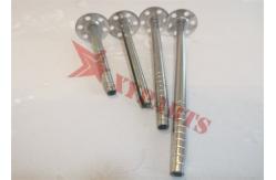 China Galvanized Steel M8 Insulation Fixing Pins For Fixing Building Board Wall supplier