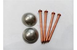 China Low Carbon Steel Cd Insulation Nails 3mm Diameter With Self Locking Washers supplier