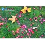 Multiplayer Interactive Floor Projector 20 - 50m Two Infrared Laser Sensor