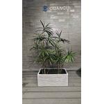 Modern Reinforced Clay Planter Customed For Your Garden Aesthetics for sale