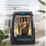 Comfortable Hard Sitting Type Hyperbaric Oxygen Chamber 1500W Rating 1.5-2.0ATA for Home for sale
