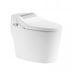 ARROW Smart Toilet Seat 660x400x520mm Water And Air Dry Functional for sale
