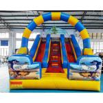 ROHS Commercial Inflatable Slide Children Bounce House In Backyard for sale