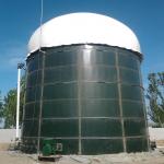 Biogas Power Plants With Reasonable Price And High Yield for sale