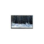 N116BCN-EA1 1366*768 11.6 inch LCD Screen FOR Laptop for sale