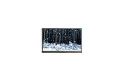China N116BCN-EA1 1366*768 11.6 inch LCD Screen FOR Laptop supplier