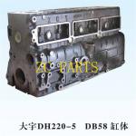 65.01101-6079 Cylinder Block In Engine DB58 DH220-5 4HK1 for sale