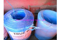 China 22500D Polypropylene Tying Twine supplier
