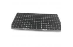 China Custom black plastic hydroponic seed nursery seeding tray with 72 cells supplier