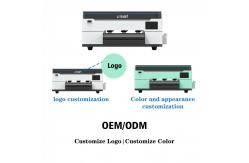 China 30cm Format Two EPS Xp600 Head DTF Printer T-Shirt Printing Machine supplier