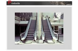 China Durable Stainless Steel Panel Moving Walk Escalator Safety With VVVF supplier