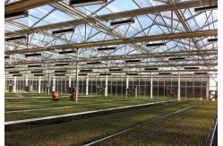 China 277V IP65 Full Spectrum 630w Horticulture LED Grow Lights supplier