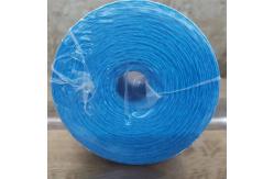 China 3-5kgs/Spool Polypropylene Plastic Raffia Twisted Tomato Twine For Agriculture supplier