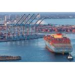 20GP 40GP Shipping Forwarder Economic Amazon Fast Shipping Freight In China USA Canada for sale