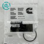Solenoid Valve Sealing Ring 129888X 129888 Engine QSM11 NT855 M11 for sale