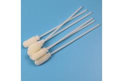 China ABS Stick 10cm Large Round Foam Tip Disposable Sampling Swab Sterile supplier