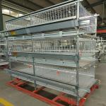 Anti Rust HDG H Type Layer Broiler Chicken Cage 16-20 Broilers/Cage for sale