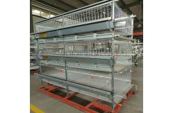 China Cold Galvanized Poultry Farm Cages For Broiler Chicken Breeding / Meat Broiler supplier