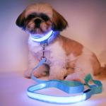 LED Reflective Dog Collar USB Rechargeable