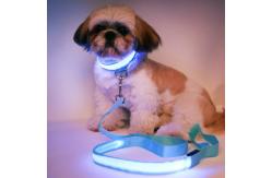 China LED Reflective Dog Collar USB Rechargeable supplier