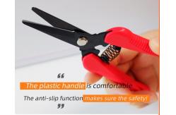 China SINSEUNG P4   Plastic Handle SK5 High Carbon Steel Scissors Pruning supplier