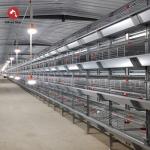 Layer And Broiler Chicken Cage A Type And H Type 3 Tiers 4 Tiers for sale