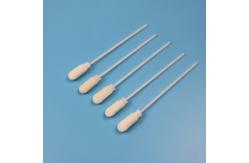 China 10mm Big Round Sponge Stick Foam Tip Specimen Collection Swab Individual Packing supplier