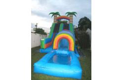China Inflatable Water Slide / inflatable giant palm tree slide supplier