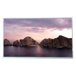 BOE EV238FHM-N21 1920*1080 FHD Industrial LCD Screen DIsplay 23.8 inch lcd module for medical imaging for sale