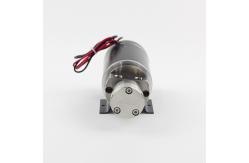 China FLOWDRIFT DC Electric Brush Motor Drive High Pressure Stainless Steel Gear Pump KGP-06M Series supplier