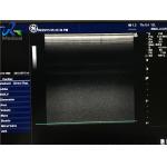 Second Hand GE 12L  Probe , Linear Array Used Transducer