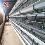 China Hot Sale Poultry Farm H Type Chicken Layer Cage With Full Automatic System factory
