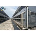 Multi Span Cultivation Hydroponic System Greenhouse For Year Round Farming