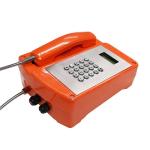 VoIP Explosion Proof Telephone Free Dial Wall / Pillar Mounting ATEX Certificated for sale