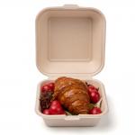 Customized Disposable Burger Boxes for Fast Food Printing Handling UV Coating