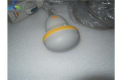 China PVT-675MV 3D Ultrasound Transducer Convex Array Clinic Diagnostic supplier
