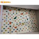 Amusement Rock Wall Climbing Training Indoor Customized Color For Children for sale