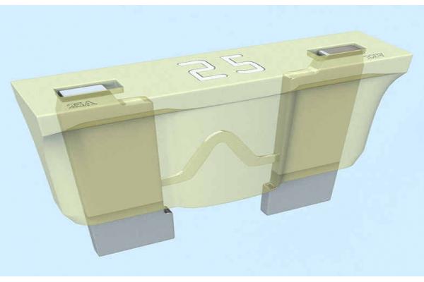 100 Amp Auto Blade Fuse