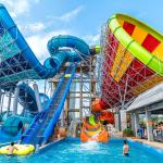 Factory Theme Park Commercial Water Slides Large Water Bowl Slide for sale