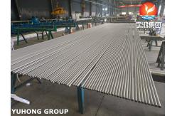 China Stainless Steel Seamless 310H Tubes ASME SA213 for HRSG Applications supplier