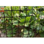 Heavy Duty Fence 50CM Garden Mesh Netting for sale